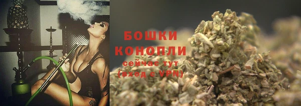 шишки Алексеевка