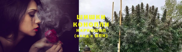 шишки Алексеевка