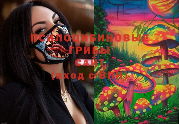 шишки Алексеевка