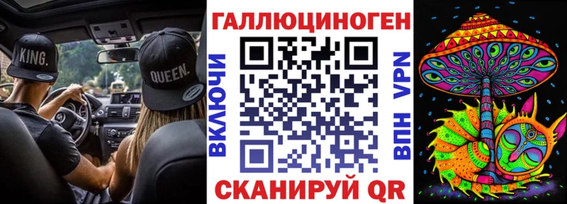 купить наркотик  Болхов  Галлюциногенные грибы Psilocybe 
